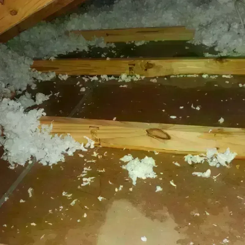 Attic Water Damage in Whiting, IN